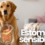 Perro con estómago sensible