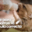Leche para cachorros