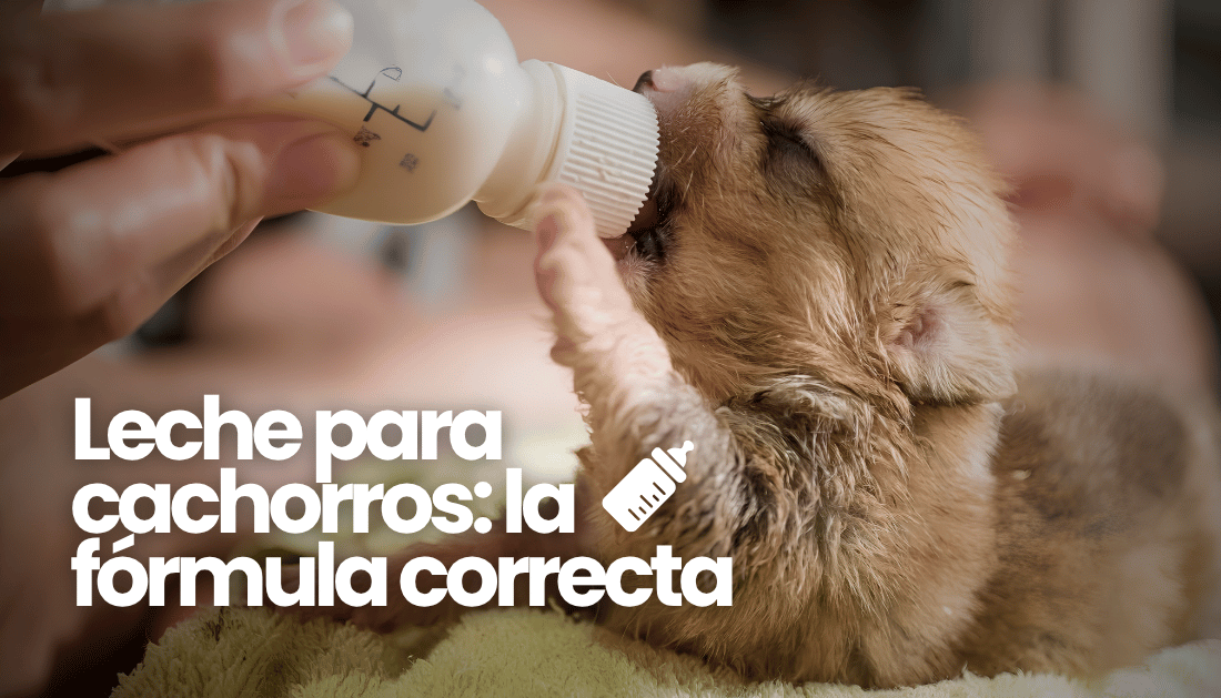 Leche para cachorros