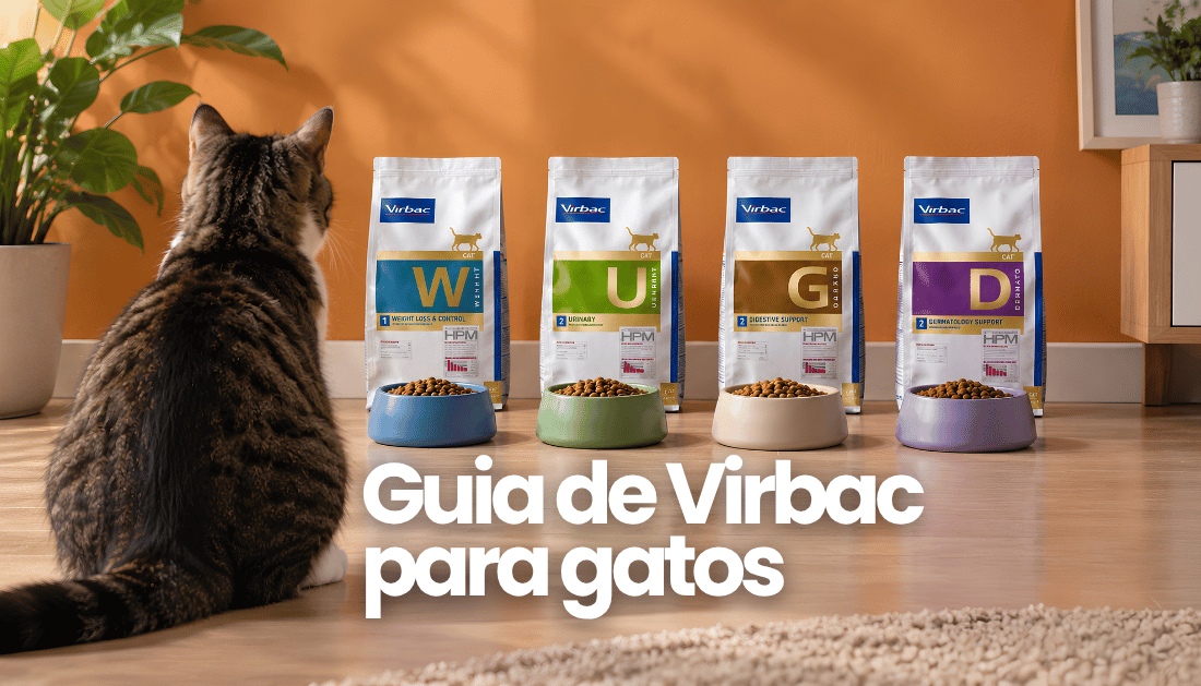 Virbac para gatos